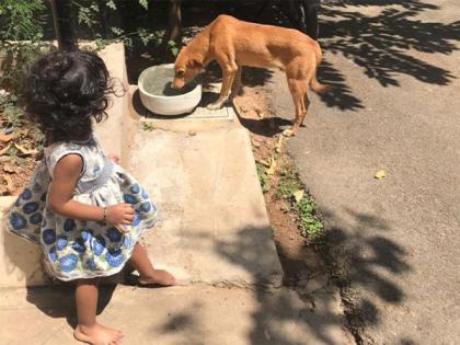 Two Decades of Impact: Zone Adds' Advertising Mastery and Social Commitment | Two Decades of Impact: Zone Adds' Advertising Mastery and Social Commitment