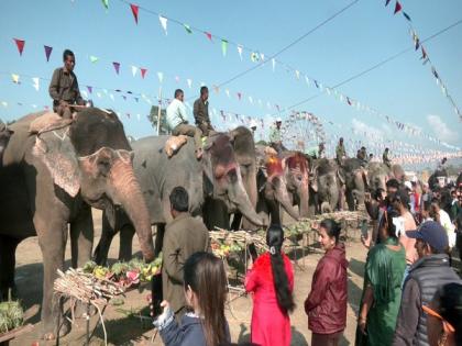 Elephants in Nepal go for picnic on day off | Elephants in Nepal go for picnic on day off Elephants in Nepal go for picnic on day off | Elephants in Nepal go for picnic on day off