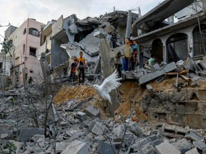 "Around 70 pc of Gaza homes damaged or destroyed": Report | "Around 70 pc of Gaza homes damaged or destroyed": Report "Around 70 pc of Gaza homes damaged or destroyed": Report | "Around 70 pc of Gaza homes damaged or destroyed": Report