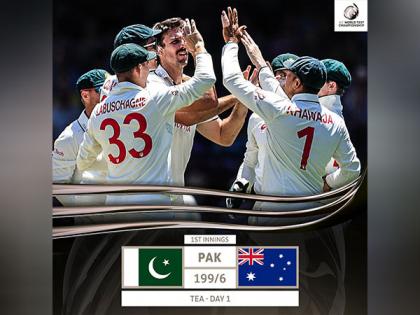 AUS vs PAK, 3rd Test: Cummins gets Rizwan after counterattacking knock, Asian side at 199/6 (Day 1, Tea) | AUS vs PAK, 3rd Test: Cummins gets Rizwan after counterattacking knock, Asian side at 199/6 (Day 1, Tea)
