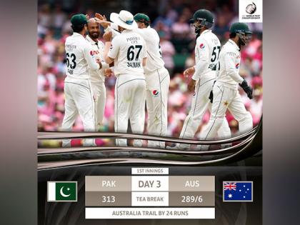 AUS vs PAK, 3rd Test: Marsh hits fourth fifty in five innings, Aussies within touching distance of lead (Day 3, Tea) | AUS vs PAK, 3rd Test: Marsh hits fourth fifty in five innings, Aussies within touching distance of lead (Day 3, Tea)