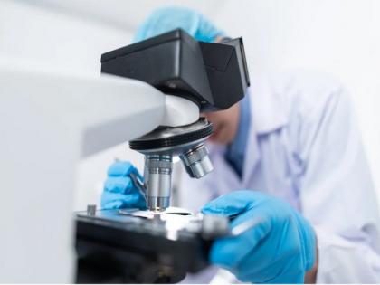 Study gives new insights into fungal infections | Study gives new insights into fungal infections Study gives new insights into fungal infections | Study gives new insights into fungal infections