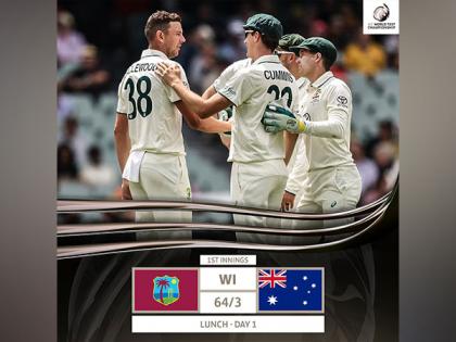 Cummins, Hazlewood shine to restrict West Indies at 64/3 (Day 1, Lunch) | Cummins, Hazlewood shine to restrict West Indies at 64/3 (Day 1, Lunch)