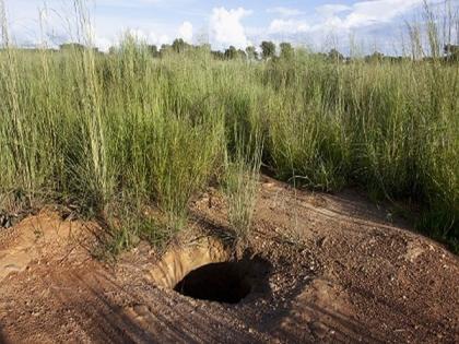 More than 70 die in artisanal gold mine collapse in Mali | More than 70 die in artisanal gold mine collapse in Mali More than 70 die in artisanal gold mine collapse in Mali | More than 70 die in artisanal gold mine collapse in Mali