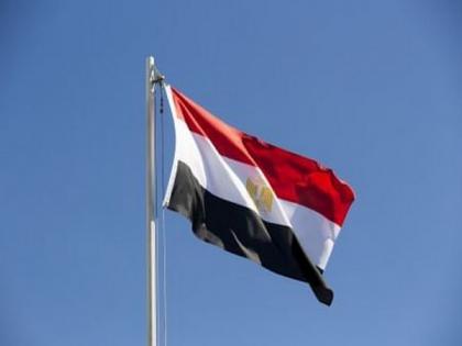 Egypt's strategic reserves of wheat sufficient for 4.2 months: Minister | Egypt's strategic reserves of wheat sufficient for 4.2 months: Minister