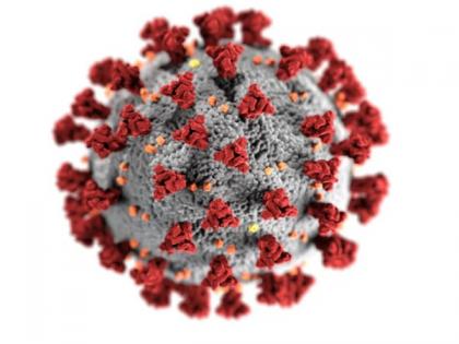 COVID-19 epidemic in Japan has been heating up for 9 consecutive weeks as new mutant strains spread | COVID-19 epidemic in Japan has been heating up for 9 consecutive weeks as new mutant strains spread COVID-19 epidemic in Japan has been heating up for 9 consecutive weeks as new mutant strains spread | COVID-19 epidemic in Japan has been heating up for 9 consecutive weeks as new mutant strains spread
