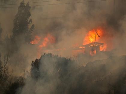 Raging forest fires in Chile kill 46; toll likely to rise | Raging forest fires in Chile kill 46; toll likely to rise