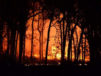 Death Toll in Chile Wildfires Rises to 99 | Death Toll in Chile Wildfires Rises to 99