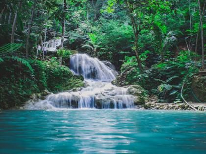 Temperature can influence microbial competition in rivers: Study | Temperature can influence microbial competition in rivers: Study Temperature can influence microbial competition in rivers: Study | Temperature can influence microbial competition in rivers: Study