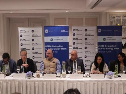 India playing global role in advancing energy transition: US India Business Council | India playing global role in advancing energy transition: US India Business Council