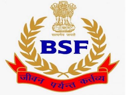 Punjab: BSF intercepts heroin, China-manufactured drone in border villages | Punjab: BSF intercepts heroin, China-manufactured drone in border villages