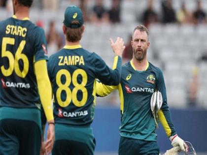 "Nice to see depth in side": Matthew Wade hails Australia after clean-sweep against New Zealand | "Nice to see depth in side": Matthew Wade hails Australia after clean-sweep against New Zealand