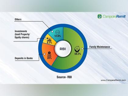 100 Billion and Beyond: From Silicon Valley to Bollywood. Quantifying the Economic Impact of NRIs on India | 100 Billion and Beyond: From Silicon Valley to Bollywood. Quantifying the Economic Impact of NRIs on India