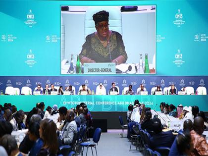 World Trade Organization postpones closing session of MC13 in Abu Dhabi | World Trade Organization postpones closing session of MC13 in Abu Dhabi