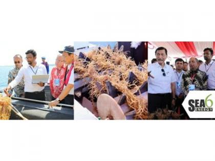 Sea6 Energy launches world's first large-scale mechanized tropical seaweed farm off the coast of Lombok, Indonesia | Sea6 Energy launches world's first large-scale mechanized tropical seaweed farm off the coast of Lombok, Indonesia