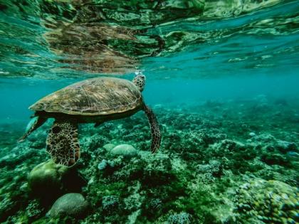 Global hot streak continues: Oceans break high-temperature record in February | Global hot streak continues: Oceans break high-temperature record in February Global hot streak continues: Oceans break high-temperature record in February | Global hot streak continues: Oceans break high-temperature record in February