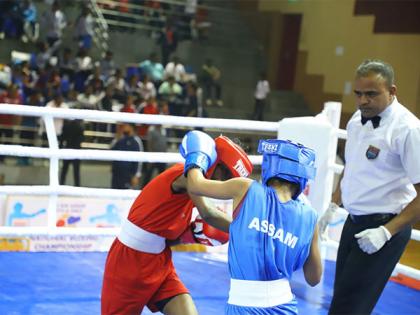 15 Haryana boxers enter quarter-finals of 3rd Sub Junior National Championship | 15 Haryana boxers enter quarter-finals of 3rd Sub Junior National Championship 15 Haryana boxers enter quarter-finals of 3rd Sub Junior National Championship | 15 Haryana boxers enter quarter-finals of 3rd Sub Junior National Championship