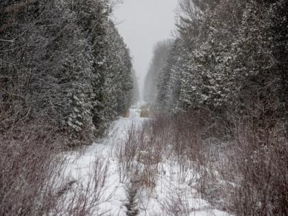 Two men indicted in connection with death of Indian migrant family on Canada-US border | Two men indicted in connection with death of Indian migrant family on Canada-US border Two men indicted in connection with death of Indian migrant family on Canada-US border | Two men indicted in connection with death of Indian migrant family on Canada-US border