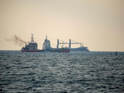 Decoding dolphins: Researchers uncover effects of ship noise on sea mammal communication | Decoding dolphins: Researchers uncover effects of ship noise on sea mammal communication Decoding dolphins: Researchers uncover effects of ship noise on sea mammal communication | Decoding dolphins: Researchers uncover effects of ship noise on sea mammal communication