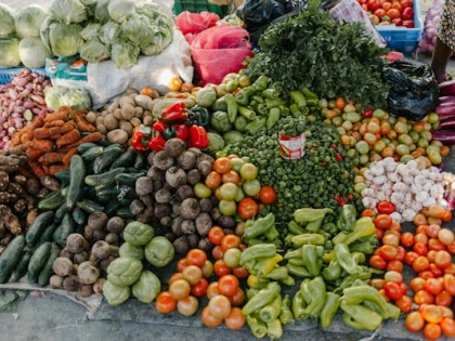 India emerges as key player in growth and innovation, global vegetable seeds market thrives: S&P GCI | India emerges as key player in growth and innovation, global vegetable seeds market thrives: S&P GCI