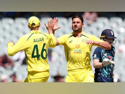 Stoinis, Agar will be firmly in mix for World Cup squad: Australia selection chair George Bailey | Stoinis, Agar will be firmly in mix for World Cup squad: Australia selection chair George Bailey