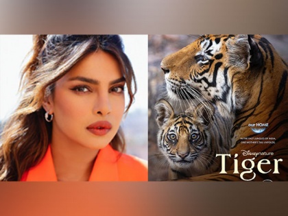 Priyanka Chopra Lends Voice for New Film ‘Tiger’, Announces Release Date (Watch) | Priyanka Chopra Lends Voice for New Film ‘Tiger’, Announces Release Date (Watch)