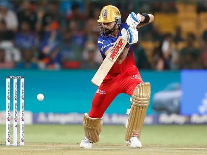 IPL 2024: RR spinner Chahal feels Kohli's dismissal will put RCB under pressure in upcoming clash | IPL 2024: RR spinner Chahal feels Kohli's dismissal will put RCB under pressure in upcoming clash