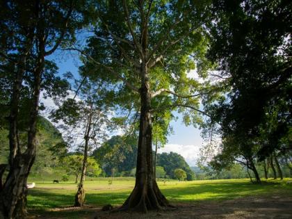 Israel and Cyprus work to expand environmental cooperation | Israel and Cyprus work to expand environmental cooperation Israel and Cyprus work to expand environmental cooperation | Israel and Cyprus work to expand environmental cooperation