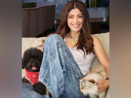 National Pet Day: Shilpa Shetty shares video of her fur babies Truffle, Simba | National Pet Day: Shilpa Shetty shares video of her fur babies Truffle, Simba