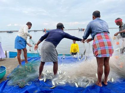 BJP manifesto promises to modernize fishery sector | BJP manifesto promises to modernize fishery sector BJP manifesto promises to modernize fishery sector | BJP manifesto promises to modernize fishery sector