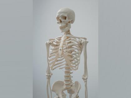 Ancient skeletons unearthed in France disclose Italian Mafia-style killings | Ancient skeletons unearthed in France disclose Italian Mafia-style killings Ancient skeletons unearthed in France disclose Italian Mafia-style killings | Ancient skeletons unearthed in France disclose Italian Mafia-style killings
