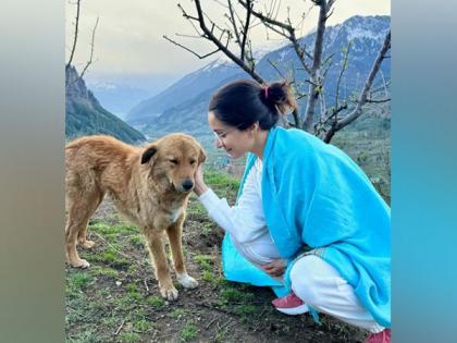 Shraddha Kapoor shares scenic pictures from her trip to the mountains | Shraddha Kapoor shares scenic pictures from her trip to the mountains Shraddha Kapoor shares scenic pictures from her trip to the mountains | Shraddha Kapoor shares scenic pictures from her trip to the mountains