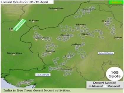 Survey finds India free of locusts ahead of Kharif crop season | Survey finds India free of locusts ahead of Kharif crop season