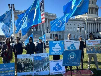 Human rights situation in Xinjiang remains grave: Amnesty International report | Human rights situation in Xinjiang remains grave: Amnesty International report Human rights situation in Xinjiang remains grave: Amnesty International report | Human rights situation in Xinjiang remains grave: Amnesty International report