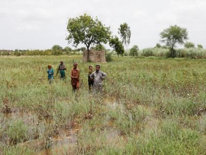 Pakistan: Police arrests several farmers amid protests against wheat procurement policy | Pakistan: Police arrests several farmers amid protests against wheat procurement policy