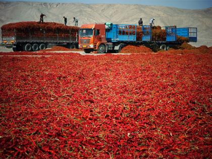 Over 40,000 kg of Chinese dried chili with excessive pesticide residue seized at Taiwan border | Over 40,000 kg of Chinese dried chili with excessive pesticide residue seized at Taiwan border