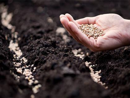 Robust Intellectual Property Rights environment needed for seed industry: Experts | Robust Intellectual Property Rights environment needed for seed industry: Experts