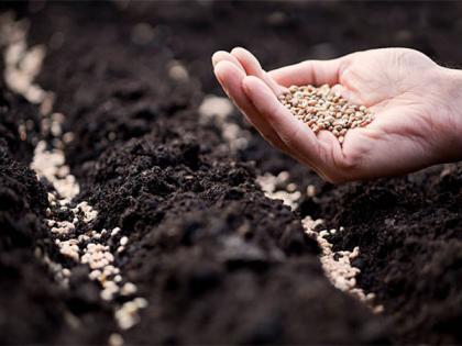 Robust Intellectual Property Rights environment needed for seed industry: Experts | Robust Intellectual Property Rights environment needed for seed industry: Experts Robust Intellectual Property Rights environment needed for seed industry: Experts | Robust Intellectual Property Rights environment needed for seed industry: Experts