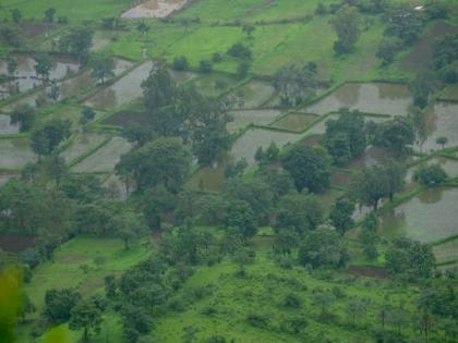 Anticipated above-normal Southwest monsoon brings hope for India's agricultural sector: Geojit report | Anticipated above-normal Southwest monsoon brings hope for India's agricultural sector: Geojit report