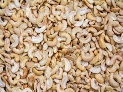 Ratnagiri cashew industry struggles despite global acclaim | Ratnagiri cashew industry struggles despite global acclaim