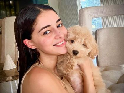 Check Out: Ananya Panday Gives Fans a Peek Into Her Cozy Sunday With ‘Furry’ Friend Riot | Check Out: Ananya Panday Gives Fans a Peek Into Her Cozy Sunday With ‘Furry’ Friend Riot