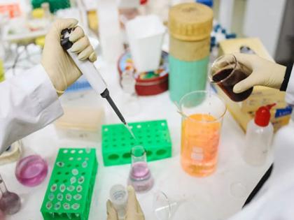 Expert committee approves Bharat Biotech International's proposal to conduct Phase-2 trials of TB vaccine: Sources | Expert committee approves Bharat Biotech International's proposal to conduct Phase-2 trials of TB vaccine: Sources