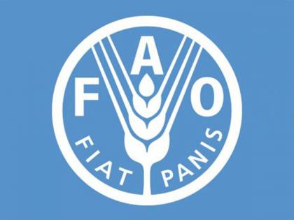 FAO puts focus on importance of technology for International Day of Plant Health | FAO puts focus on importance of technology for International Day of Plant Health FAO puts focus on importance of technology for International Day of Plant Health | FAO puts focus on importance of technology for International Day of Plant Health
