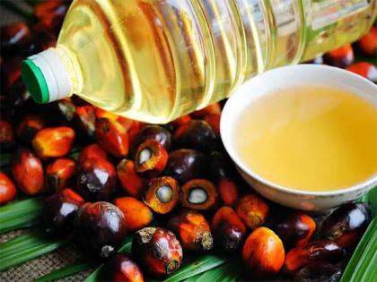 Palm oil scores high on ICMR-NIN's 2024 Updated Dietary Guidelines for Indians | Palm oil scores high on ICMR-NIN's 2024 Updated Dietary Guidelines for Indians