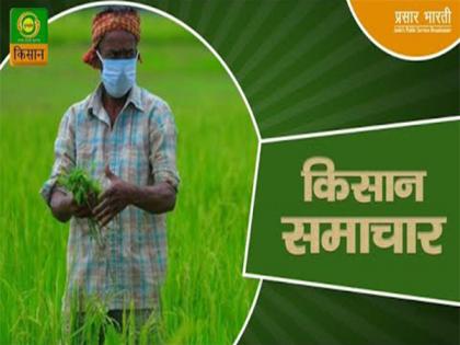 DD Kisan to launch two AI anchors this Sunday that would speak 50 languages | DD Kisan to launch two AI anchors this Sunday that would speak 50 languages