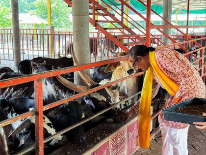 Dinesh Shahra Foundation Supports Gau Swarga's Mission to Preserve Indigenous Cows, Participates in Gau Seva | Dinesh Shahra Foundation Supports Gau Swarga's Mission to Preserve Indigenous Cows, Participates in Gau Seva Dinesh Shahra Foundation Supports Gau Swarga's Mission to Preserve Indigenous Cows, Participates in Gau Seva | Dinesh Shahra Foundation Supports Gau Swarga's Mission to Preserve Indigenous Cows, Participates in Gau Seva