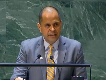 Debate on annual report has become "ritual without much substance": India at UNGA | Debate on annual report has become "ritual without much substance": India at UNGA Debate on annual report has become "ritual without much substance": India at UNGA | Debate on annual report has become "ritual without much substance": India at UNGA