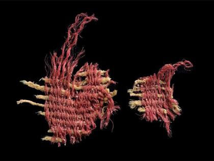 Israeli archaeologists find earliest evidence of biblical scarlet dye | Israeli archaeologists find earliest evidence of biblical scarlet dye Israeli archaeologists find earliest evidence of biblical scarlet dye | Israeli archaeologists find earliest evidence of biblical scarlet dye