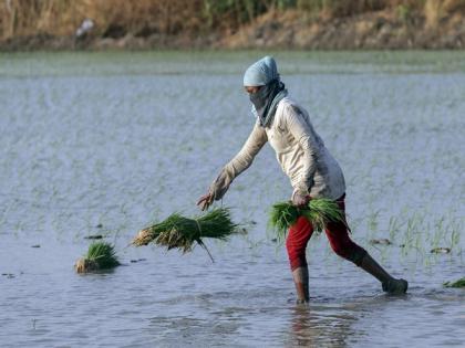Economic Survey 2023-24 shows agricultural credit increased nearly 1.5 times during financial year 2024 | Economic Survey 2023-24 shows agricultural credit increased nearly 1.5 times during financial year 2024 Economic Survey 2023-24 shows agricultural credit increased nearly 1.5 times during financial year 2024 | Economic Survey 2023-24 shows agricultural credit increased nearly 1.5 times during financial year 2024