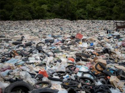 Plastic pollution, seawater flooding can amplify threats to coastal plant species: Study | Plastic pollution, seawater flooding can amplify threats to coastal plant species: Study Plastic pollution, seawater flooding can amplify threats to coastal plant species: Study | Plastic pollution, seawater flooding can amplify threats to coastal plant species: Study